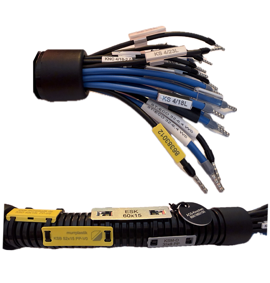 Laser-Labeling-System-2 Laser Labeling System